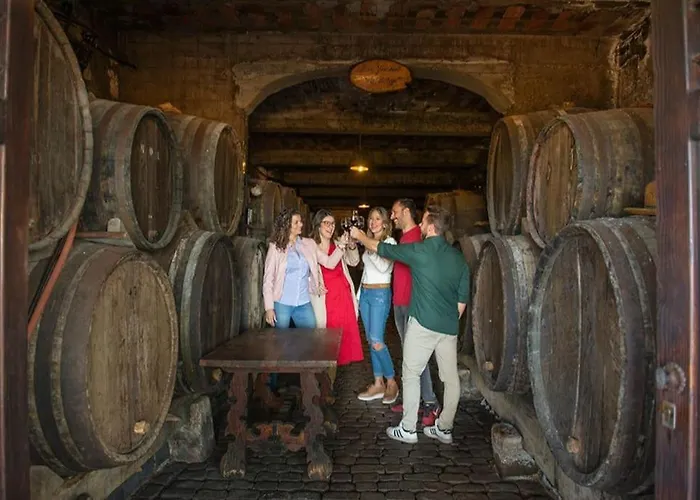 Centrico, Comodo Y Apto En * Puerto de la Cruz (Tenerife)