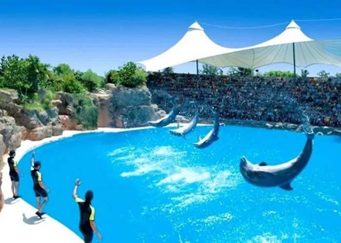 Lägenhet Centrico, Comodo Y Apto En *