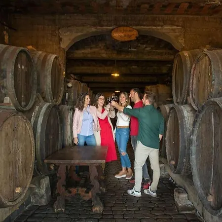 Centrico, Comodo Y Apto En * Puerto de la Cruz